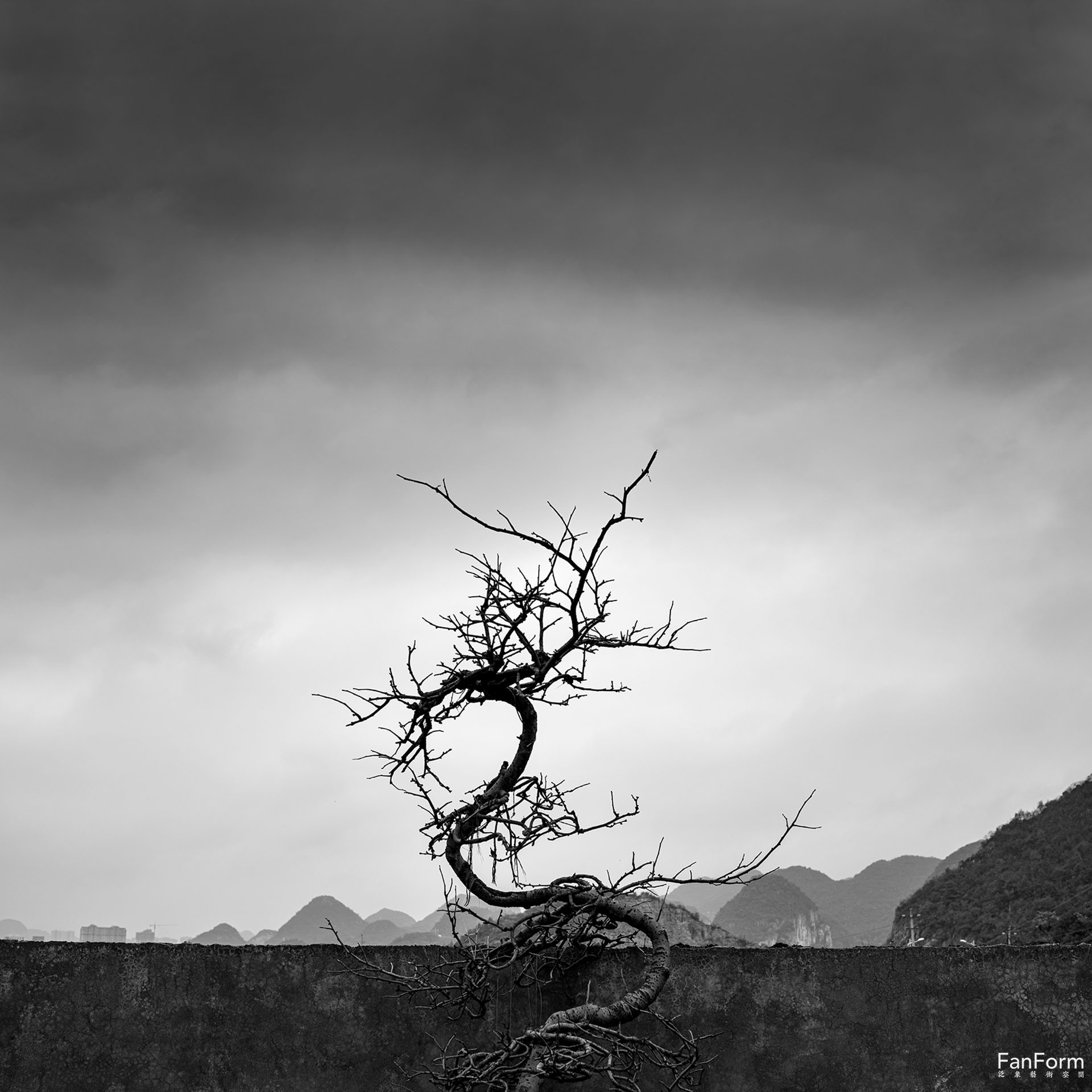 1681370192203950.jpg 02.jpg