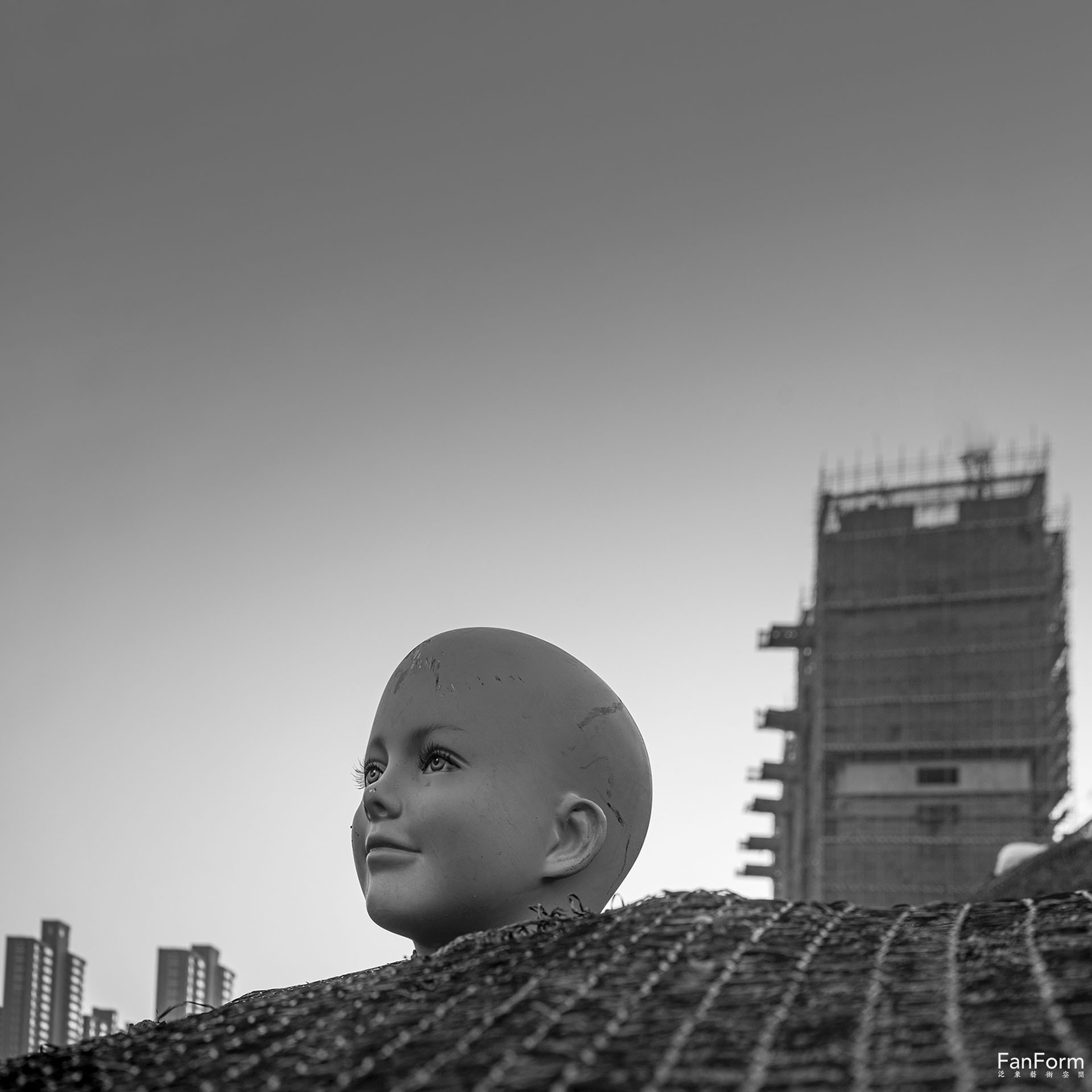 1681370352419298.jpg 10.jpg