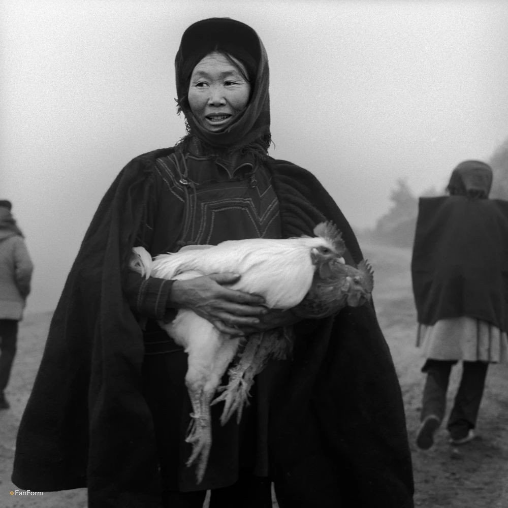 1753846793315402.jpg 0 (11).jpg