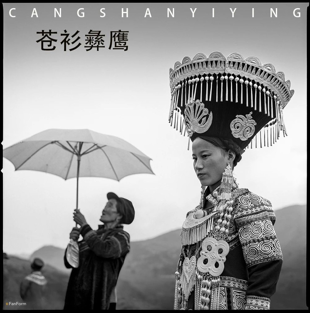 李泛《苍衫彝鹰》选